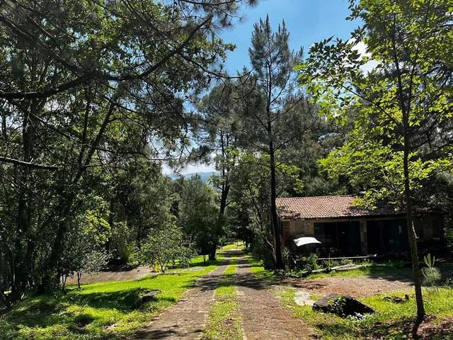 Foto de la galeria de imagenes