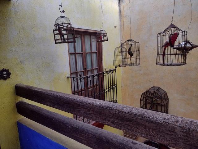 Foto de la galeria de imagenes