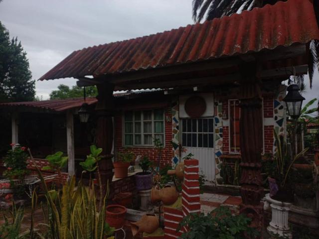 Foto de la galeria de imagenes