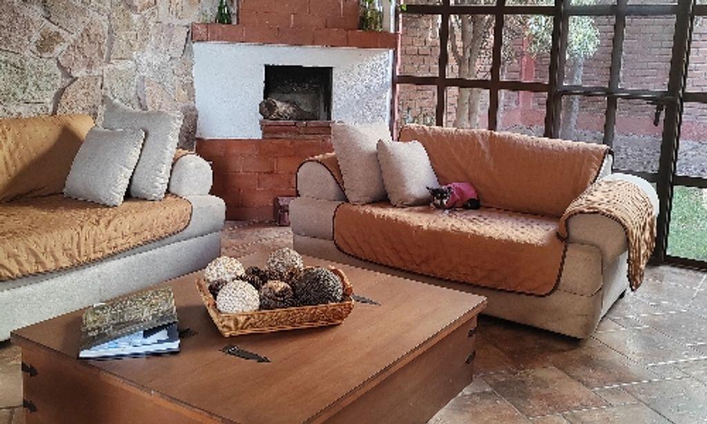 Foto de la galeria de imagenes