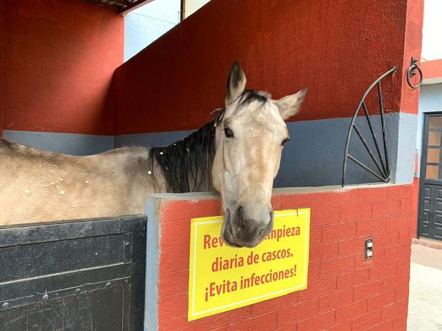 Foto de la galeria de imagenes